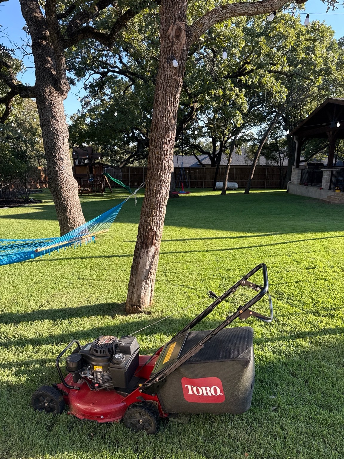 Toro 21-inch commercial mower on fresh cut lawn