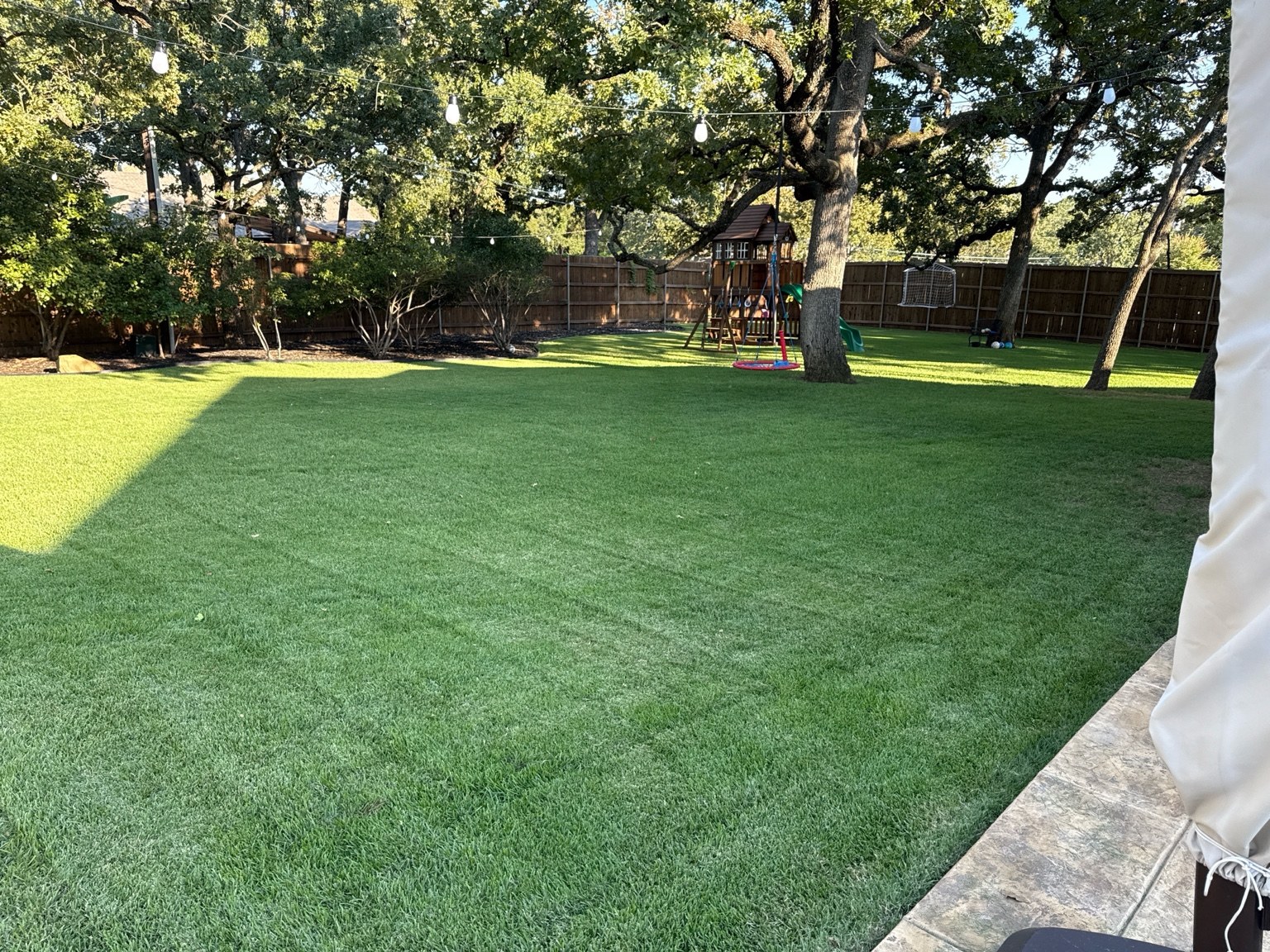 Freshly cut lawn with crisp edges